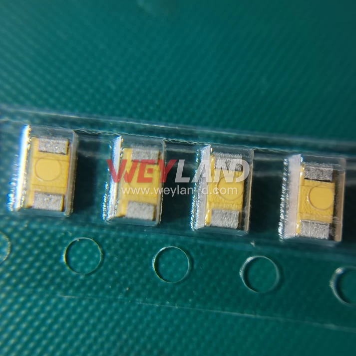 AVX TAJA106K010RNJ Picture two