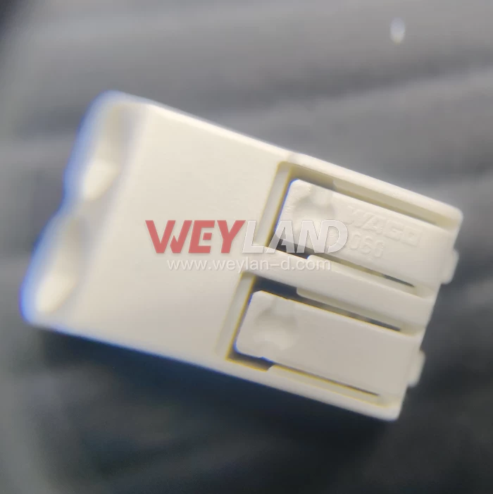 WAGO 2060-452/998-404