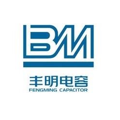 BM Semiconductor