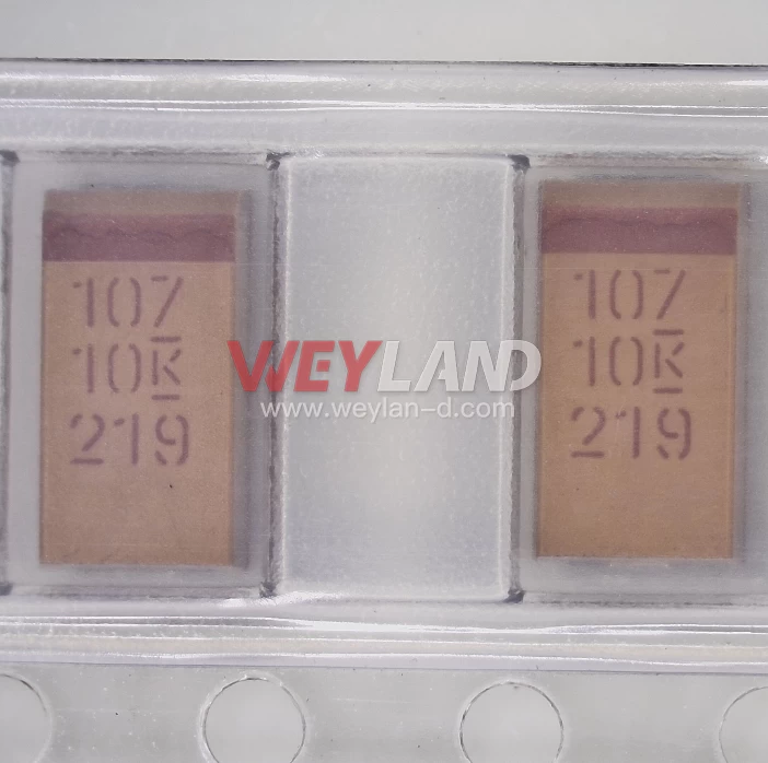 T491C107K010AT