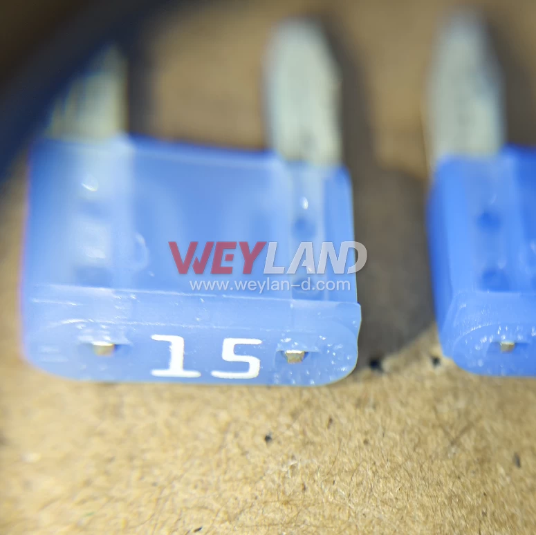 Littelfuse Semiconductor 0297015.WXNV
