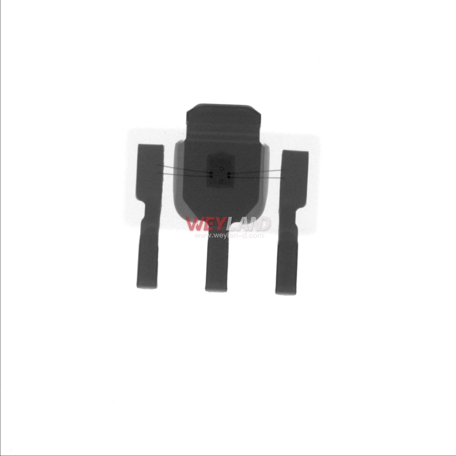 QORVO SBB-4089Z Picture four