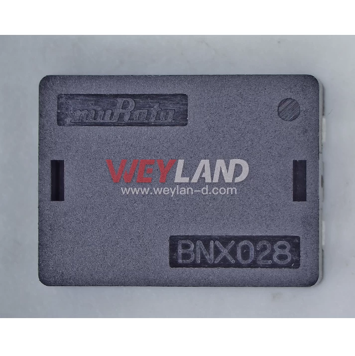 Murata BNX028-01L Picture two